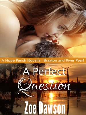 cover image of A Perfect Question
